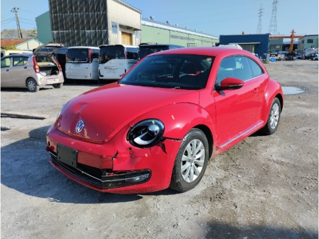 VOLKSWAGEN THE BEETLE