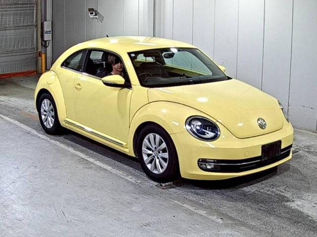 VOLKSWAGEN THE BEETLE