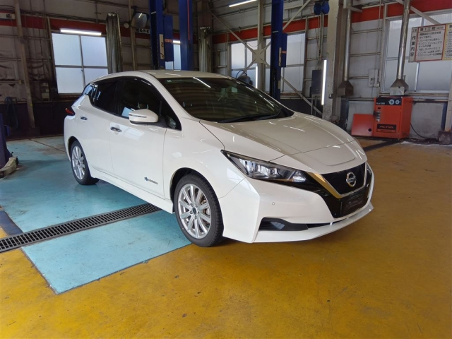 NISSAN LEAF — фото