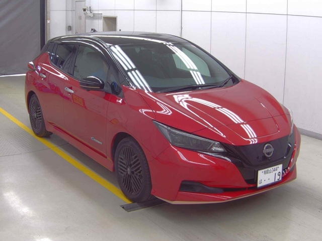 NISSAN LEAF — фото