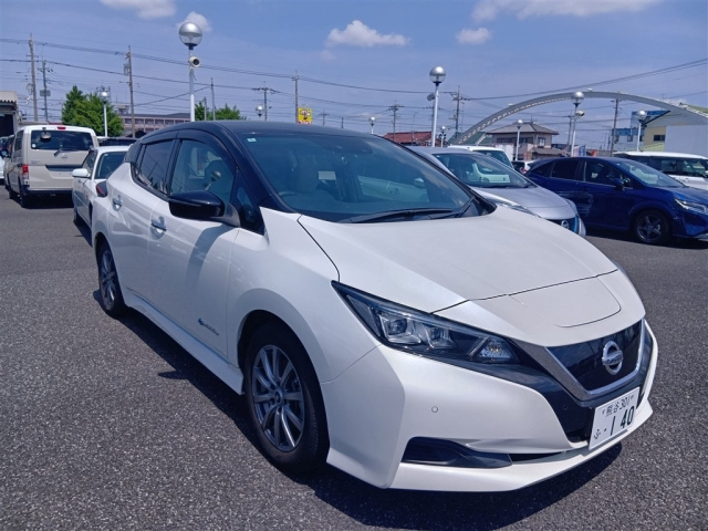 NISSAN LEAF — фото