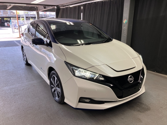 NISSAN LEAF — фото