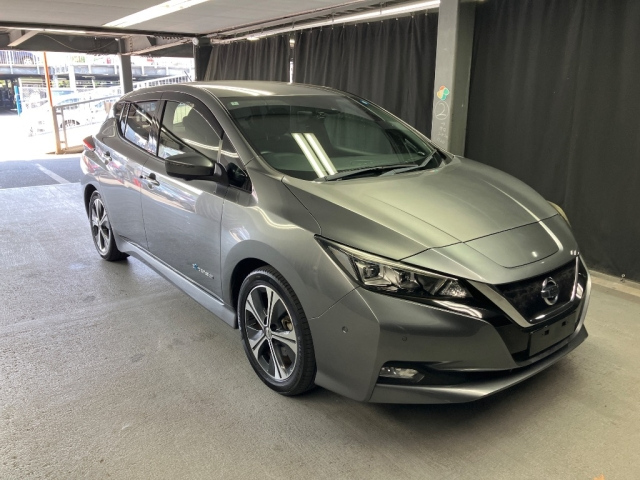 NISSAN LEAF — фото