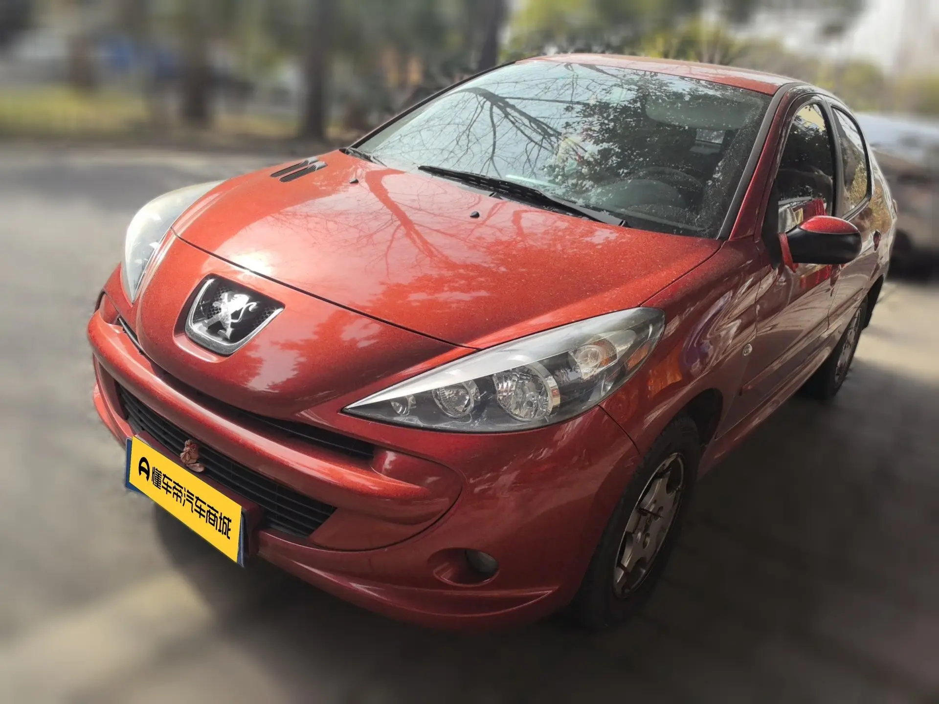 Peugeot 207 — фото