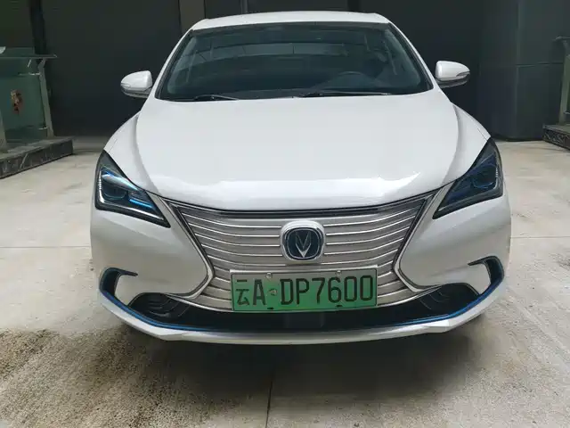Chang'An Yidong New Energy Eado New Energy 2019 Ev460 Smart Edition — фото