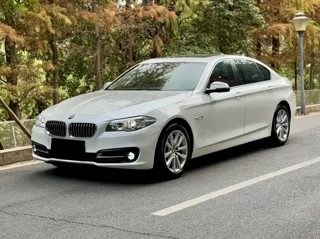 Bmw Bmw 5 Series Bmw 5 Series 2014 530li Leading Model — фото