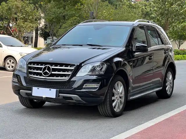 Mercedes-Benz Mercedes Benz M Class Mercedes-Benz M-Class 2010 Ml 350 4matic Luxury Model — фото