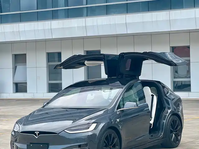 Tesla Model X Model X 2017 Model X 100d Long Range Edition — фото