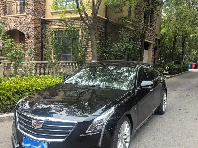 Cadillac Cadillac Ct6 Cadillac Ct6 2017 28t Leading Model — фото