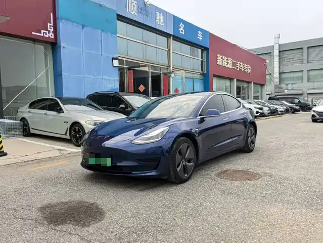Tesla Model 3 Model 3 2019 Standard Range Rear Drive Upgraded Version — фото