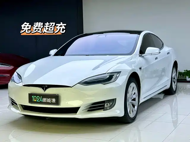 Tesla Model S Model S 2019 Long Range Edition — фото