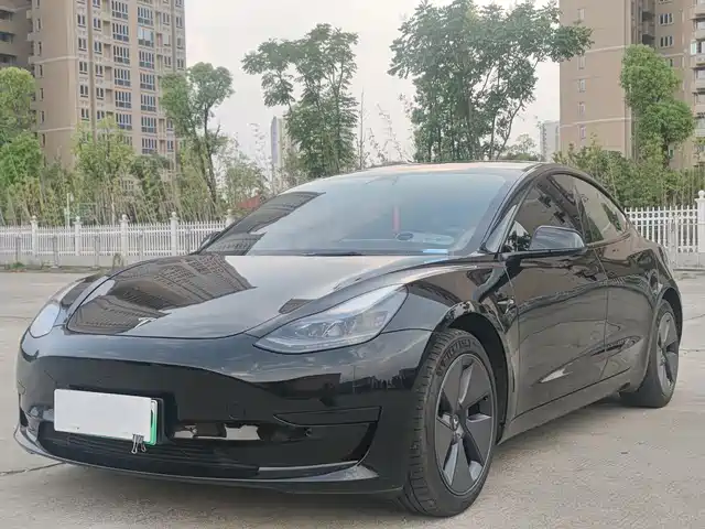 Tesla Model 3 Model 3 2022 Rear-Wheel Drive Version — фото