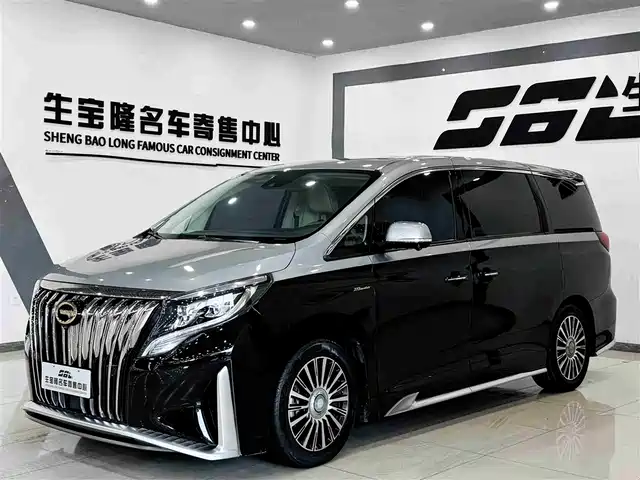 Gac Trumpchi Trumpchi M8 Trumpchi M8 2021 Master Series 390t Four-Seater Imperial Edition — фото