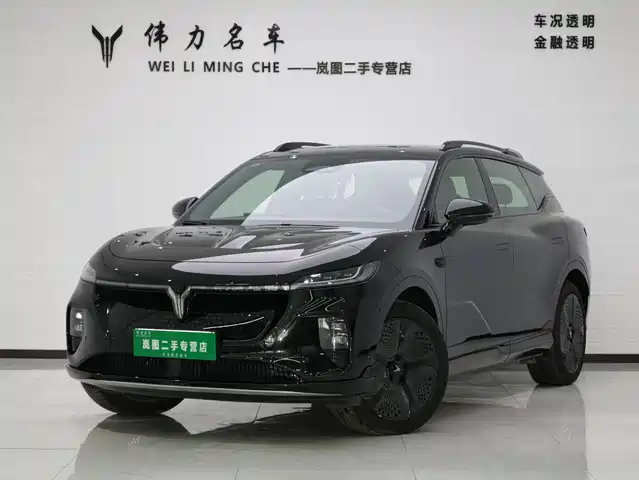 Lantu Automobile Lantu Bosom Friend Lantu Zhiyin 2024 Four-Wheel Drive Global Version