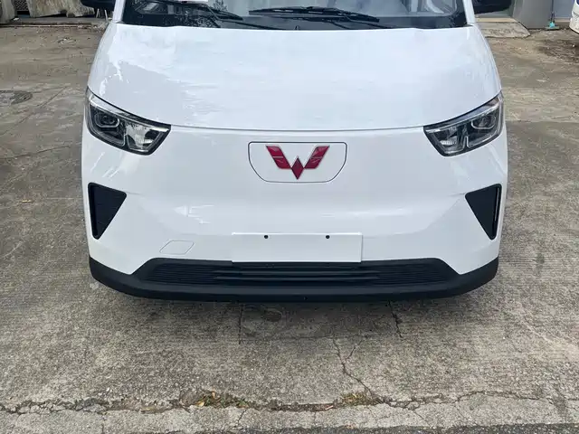 Wuling Motors Wuling Yangguang Wuling Yangguang 2024 Model 300km Comfortable Window-Sealed Version 60kw