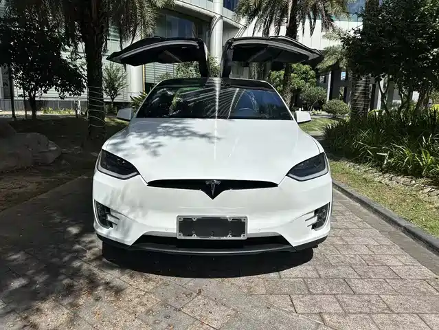 Tesla Model X Model X 2017 Model X 100d Long Range Edition — фото