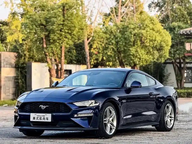 Ford Mustang Mustang 2019 2.3l Ecoboost Performance Enhanced Version