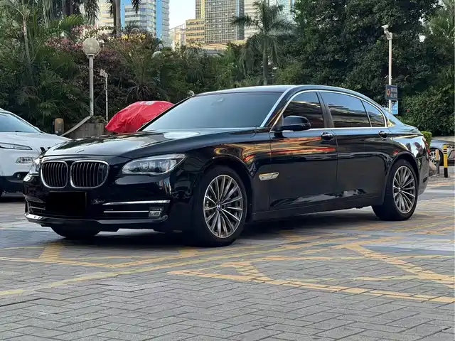 Bmw Bmw 7 Series Bmw 7 Series 2013 750li Xdrive — фото