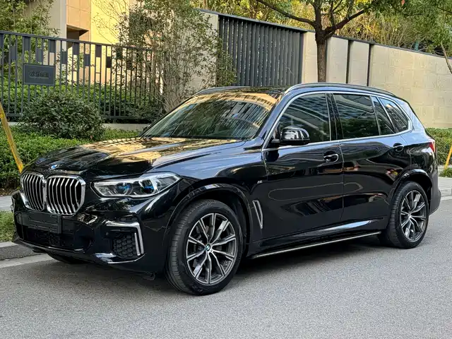Bmw Bmw X5 Bmw X5 2022 Facelift Xdrive 30li Exclusive M Sports Package — фото