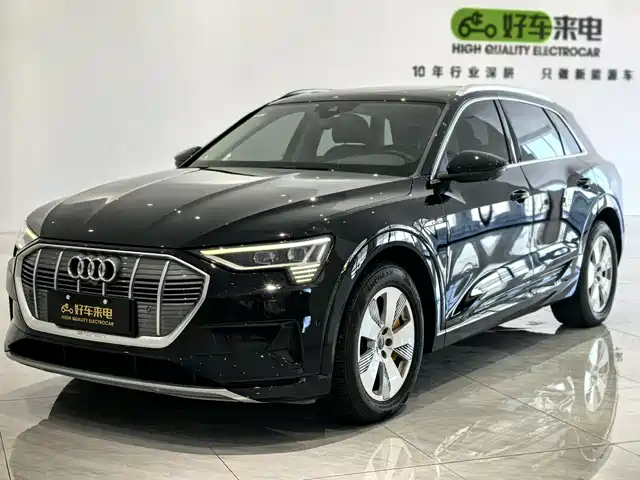 Audi Audi e-tron (imported) Audi E-Tron Imported 2019 55 Quattro Fashion Model