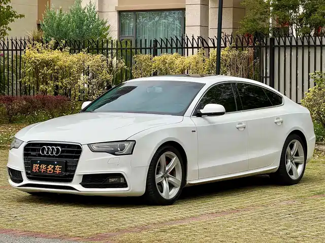 Audi Audi A5 (Imported) Audi A5 imported 2013 Sportback 50 TFSI quattro fashion version — фото