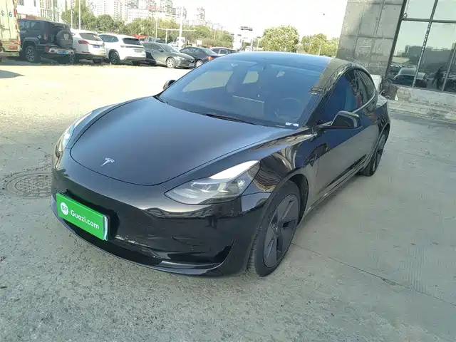 Tesla Model 3 Model 3 2021 Standard Range Rear Drive Upgraded Version 3d6 — фото