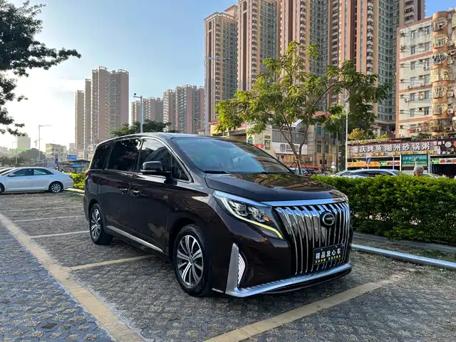 Gac Trumpchi Trumpchi M8 Trumpchi M8 2018 320t Premium Edition — фото