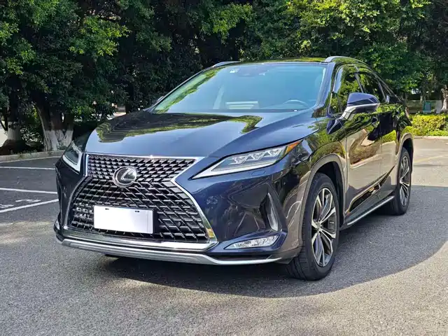 Lexus Lexusrx Lexus Rx 2020 300 Four-Wheel Drive Elegant Version National Vi — фото