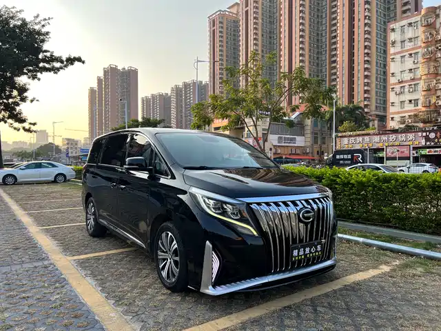 Gac Trumpchi Trumpchi M8 Trumpchi M8 2018 320t Premium Edition — фото