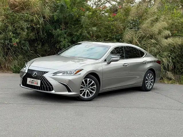 Lexus Lexus Es Lexus Es 2021 200 Excellence Edition