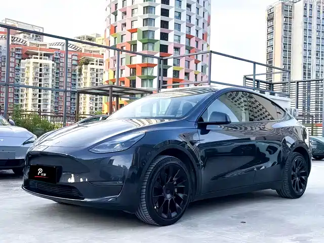 Tesla Model Y Model Y 2024 Long-Range All-Wheel Drive Version — фото