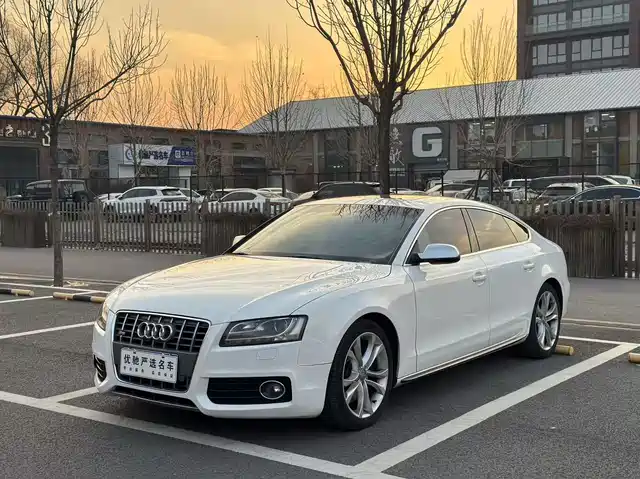 Audi Audi S5 Audi S5 2012 S5 3.0t Sportback — фото