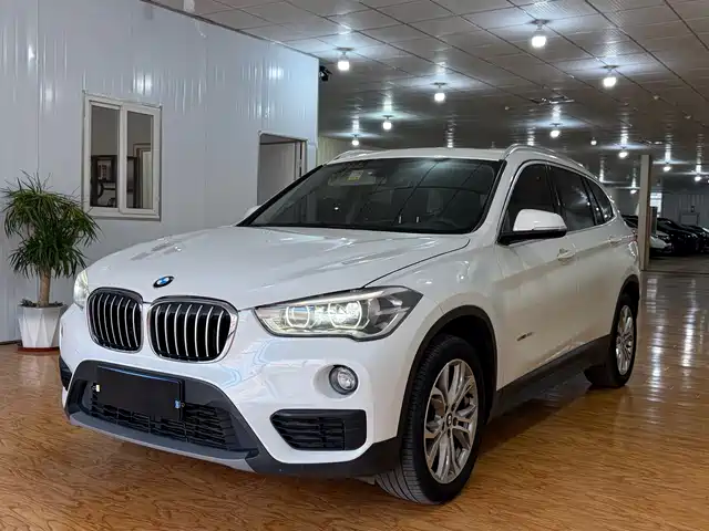 Bmw Bmw X1 Bmw X1 2018 Sdrive20li Leading Model — фото