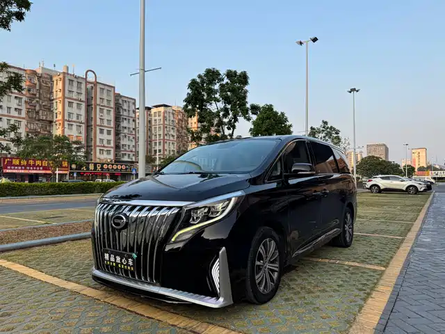Gac Trumpchi Trumpchi M8 Trumpchi M8 2018 320t Premium Edition — фото