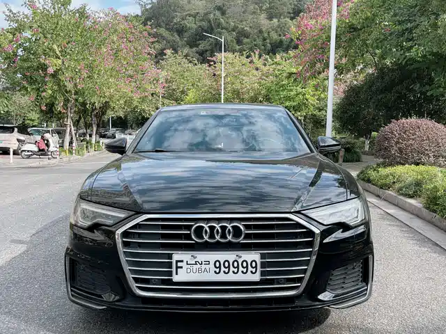 Audi Audi A6l Audi A6l 2019 45 Tfsi Premium Dynamic Model