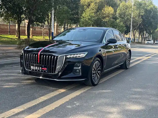 Red Flag Hongqi H5 Hongqi H5 2024 2.0t Automatic Zhilianqichang Edition — фото