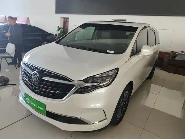 Buick Buick Gl8 Buick Gl8 2021 Es Lu Zun 653t Smart Flagship Model