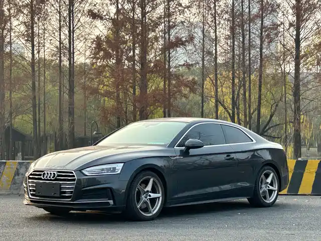 Audi Audi A5 (Imported) Audi A5 (Imported) 2017 Coupe 40 Tfsi Fashion Model — фото