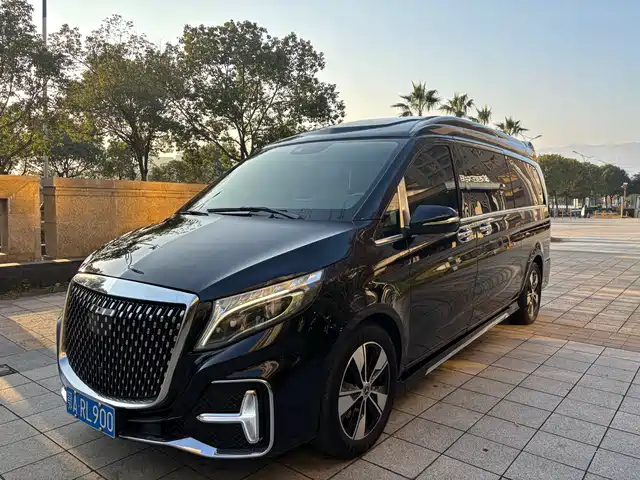 Mercedes-Benz Mercedes Benz V Class Mercedes-Benz V-Class 2021 V 260 L Long Wheelbase Premium Edition — фото