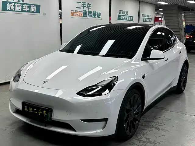 Tesla Model Y Model Y 2021 Performance High-Performance All-Wheel Drive Version — фото