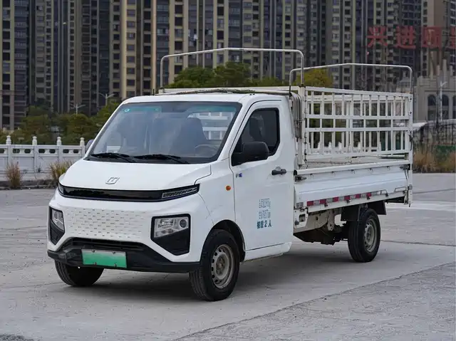 Remote Remote Star Rewards F1E Remote Star Enjoy F1E 2023 Cangzha Truck Yiwei 41.86kWh — фото