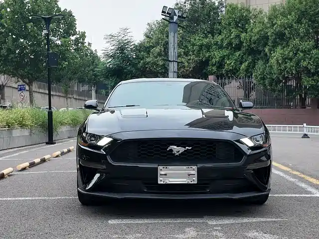 Ford Mustang Mustang 2020 2.3l Ecoboost — фото