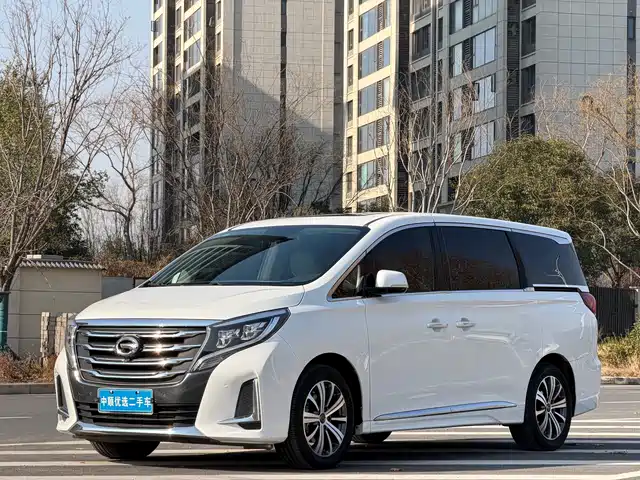 Gac Trumpchi Trumpchi M8 Trumpchi M8 2020 Pilot Model 390t Premium Edition — фото