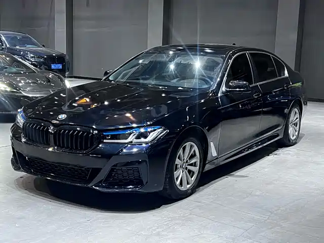 Bmw Bmw 5 Series Bmw 5 Series 2011 520li Elegant — фото