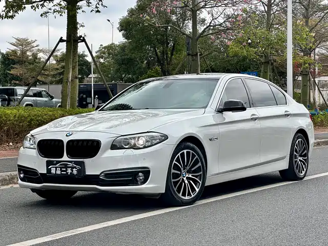 Bmw Bmw 5 Series Bmw 5 Series 2014 525li Luxury Design Package — фото