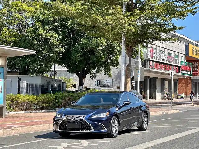Lexus Lexus Es Lexus Es 2021 260 Excellence Edition — фото
