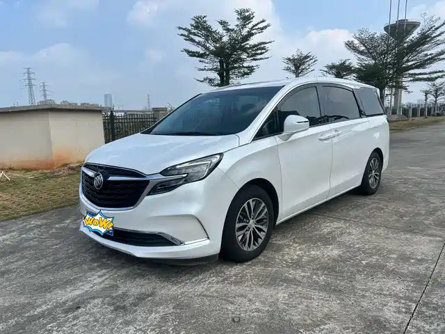 Buick Buick Gl8 Buick Gl8 2021 Es Lu Zun 653t Comfort Type — фото