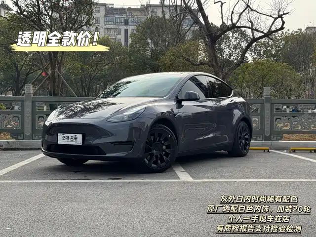 Tesla Model Y Model Y 2022 Facelift Rear-Wheel Drive Version — фото