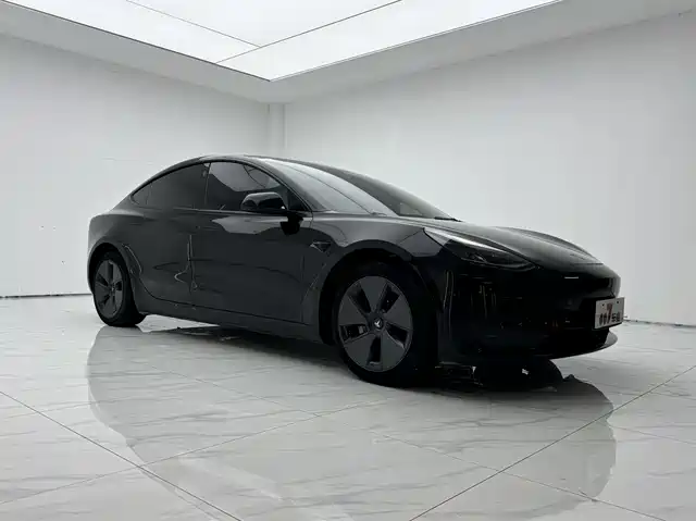 Tesla Model 3 Model 3 2021 Standard Range Rear Drive Upgraded Version — фото