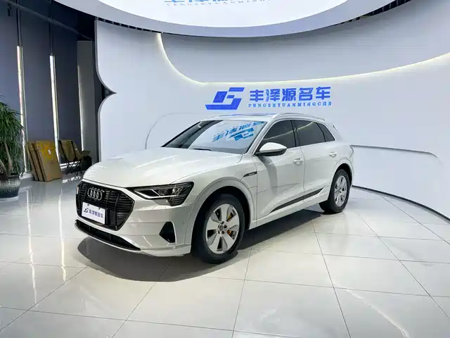 Audi Audi e-tron (imported) Audi E-Tron Imported 2019 55 Quattro Fashion Model — фото
